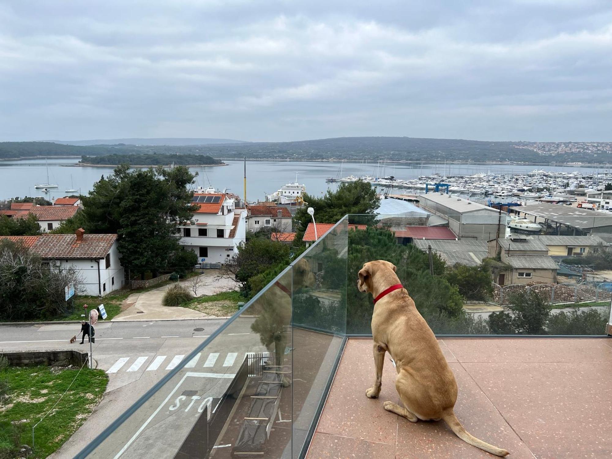 Panorama Penthouse Punat Kültér fotó